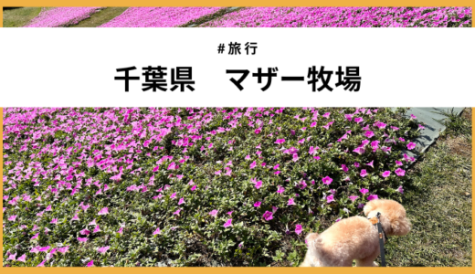 【秋旅】マザー牧場 with 愛犬（ドッグラン＆ジンギスカン）