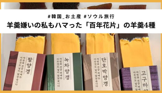 【韓国土産】お餅の名店「백년화편(百年花片)」の「羊羹4種」が驚くほど美味しい